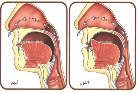 RANKS OF GHUNNAH