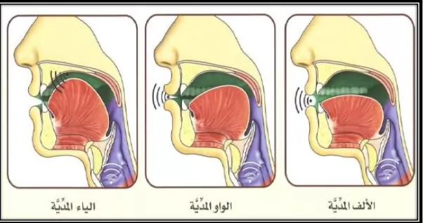 online quran classes