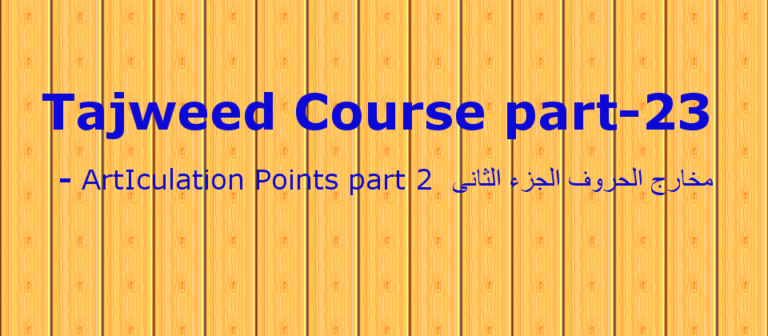 learn quran online with tajweed