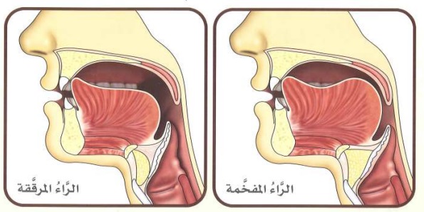 Tafkheem and Tarqeeq 